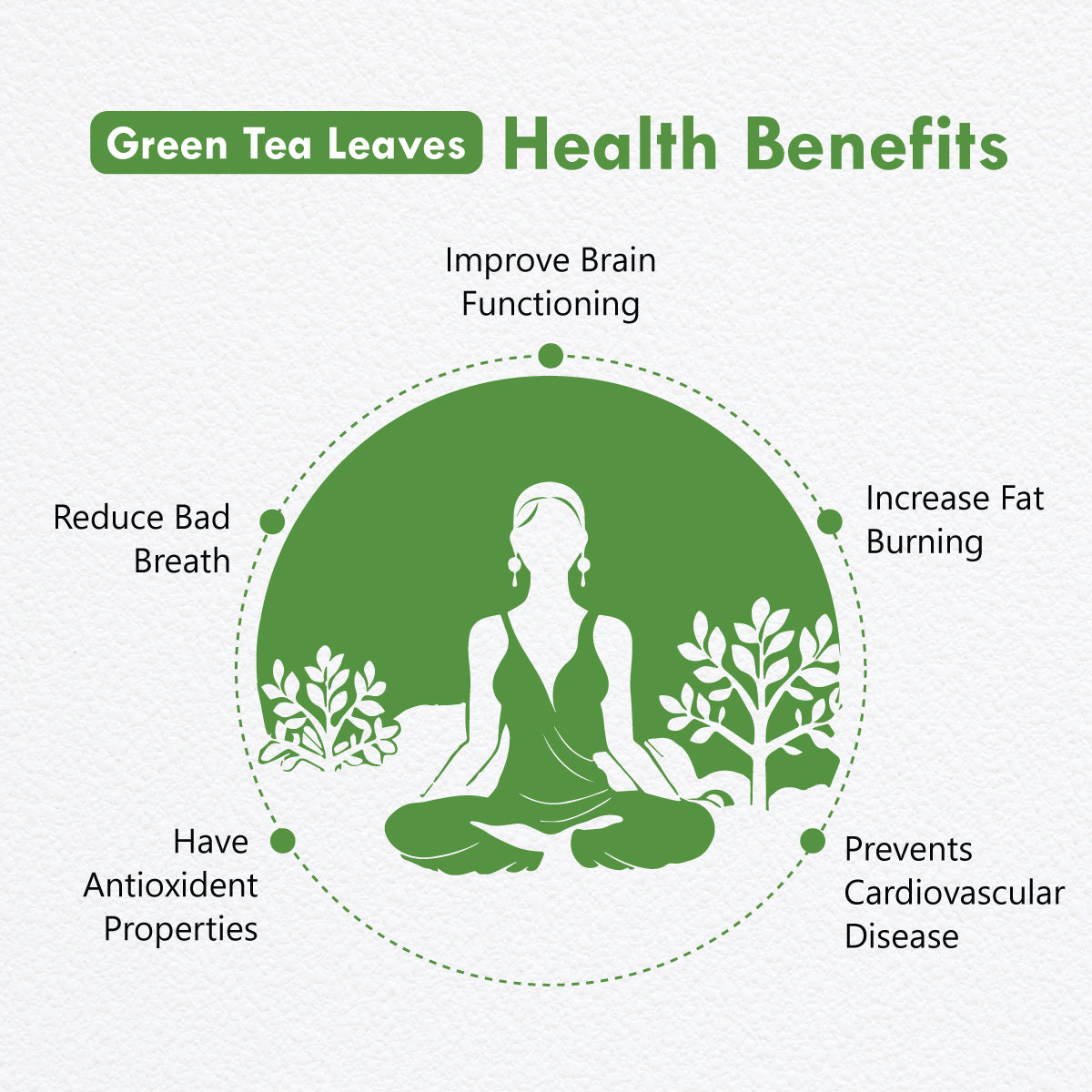 Freshville Green Tea Leaves | Improves Metabolism & Reduces Fat