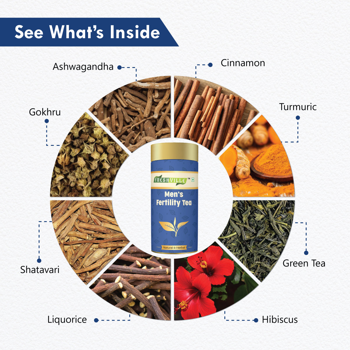 Freshville Men Fertility Tea