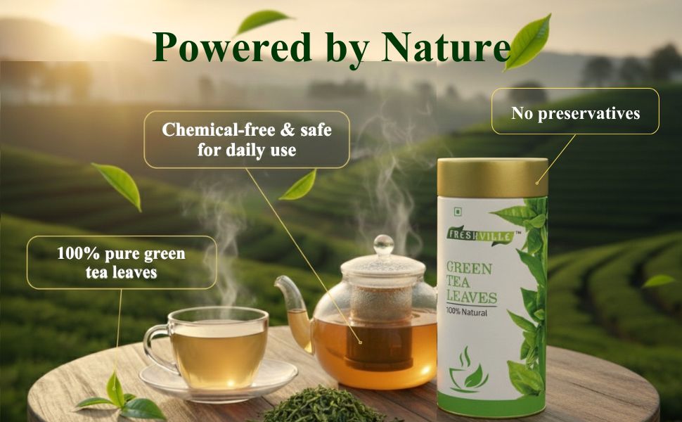 Freshville Green Tea Leaves | Improves Metabolism & Reduces Fat |Green Bliss – Refresh Your Life Naturally