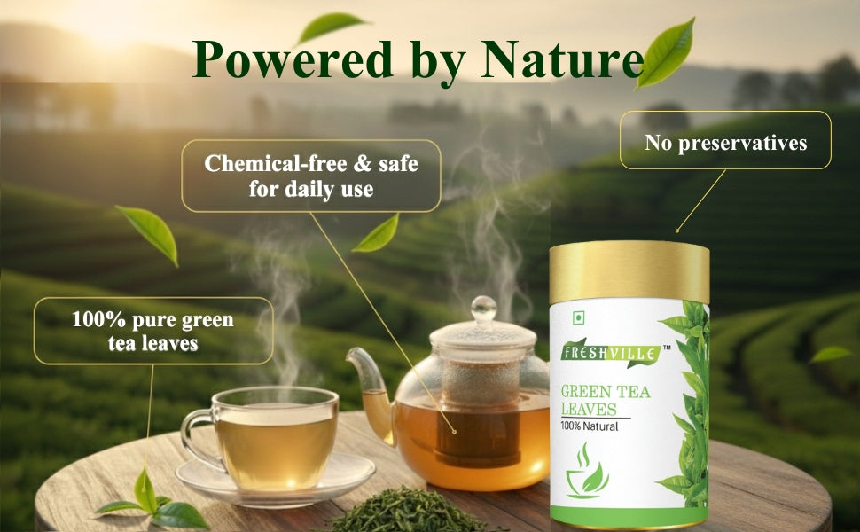 Freshville Green Tea Leaves | Improves Metabolism & Reduces Fat |Green Bliss – Refresh Your Life Naturally 45 Day