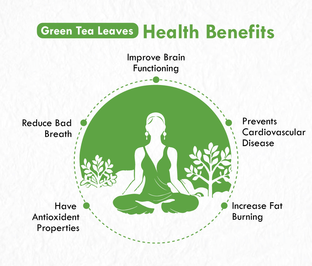 Freshville Green Tea Bag | Pure & Natural | Antioxidant-rich | Improves Metabolism | Immunity Booster | premium Green tea (25 bag)