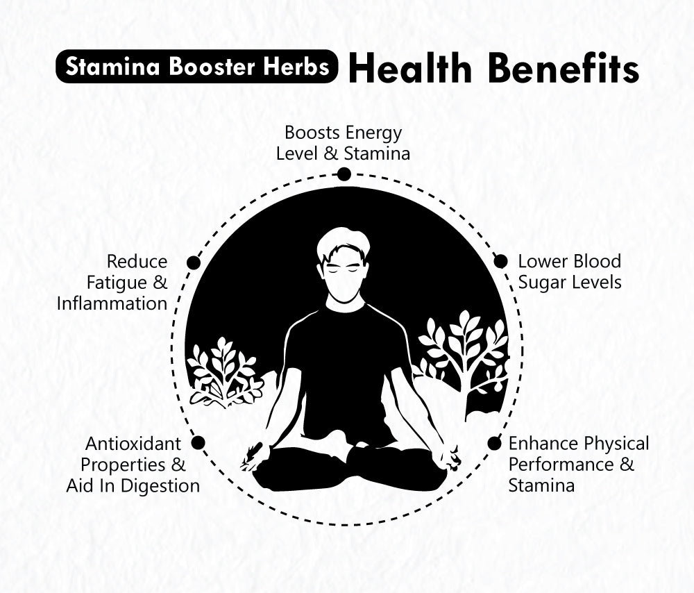 Freshville Stamina Booster Herbs | Pure & Natural |Elachi | Mulethi | Cinnamon | Nutmeg | Ashwagandha | Ginseng Root | Gokhru | Tulsi | Shatavari |Green Tea Tin