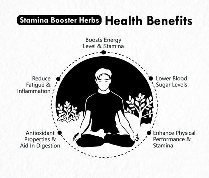 Freshville Stamina Booster Herbs | Pure & Natural |Elachi | Mulethi | Cinnamon | Nutmeg | Ashwagandha | Ginseng Root | Gokhru | Tulsi | Shatavari |Green Tea Tin