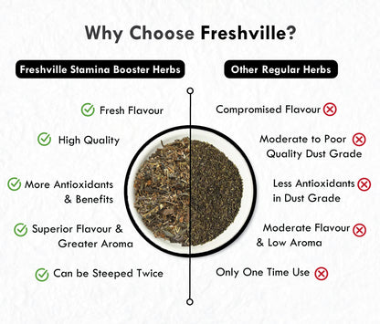 Freshville Stamina Booster Herbs | Pure & Natural |Elachi | Mulethi | Cinnamon | Nutmeg | Ashwagandha | Ginseng Root | Gokhru | Tulsi | Shatavari |Green Tea Tin